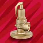 Image of Fig 542F Safety Relief Valve