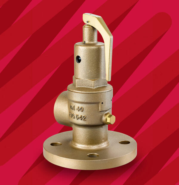 NABIC Fig 542F Flanged Safety Relief Valve