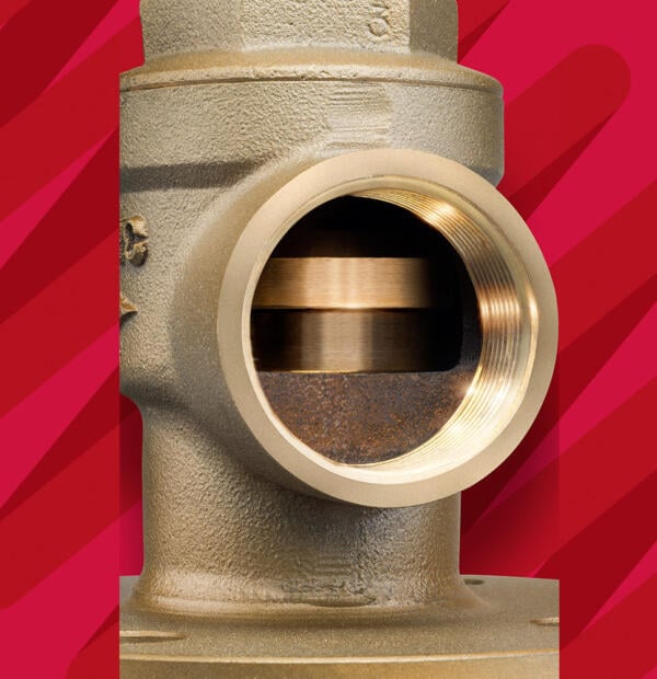 NABIC Fig 542F Flanged Safety Relief Valve Close Up