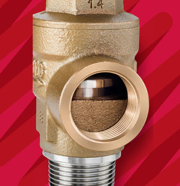 Fig 500SS High Lift Safety Valve Close Up