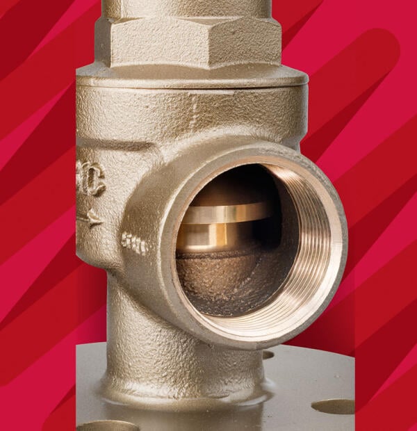 Fig 500F High Life Safety Valve DN32 Close Up