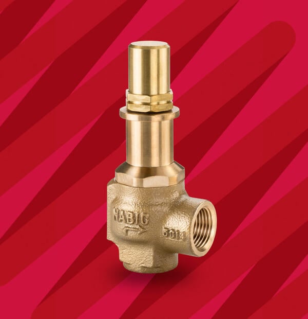 NABIC Fig 542L Pressure Relief Valve