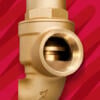 Fig 520 High Lift Safety Valve Close Up