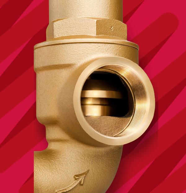 Fig 520 High Lift Safety Valve Close Up