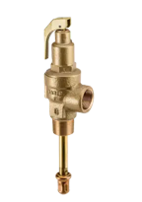 Combined Pressure & Temperature Relief Valve