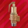 NABIC Fig 500SS High Lift Safety Valve