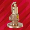 Fig 542F Safety Relief Valve